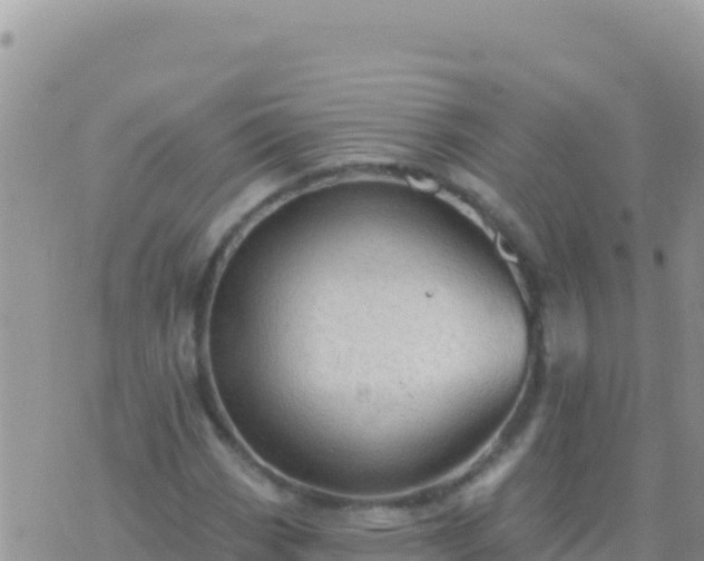 X0000073761113200608102038