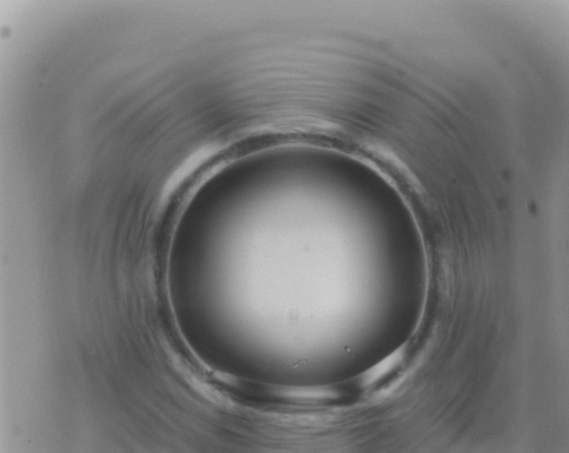 X0000073761114200608102038