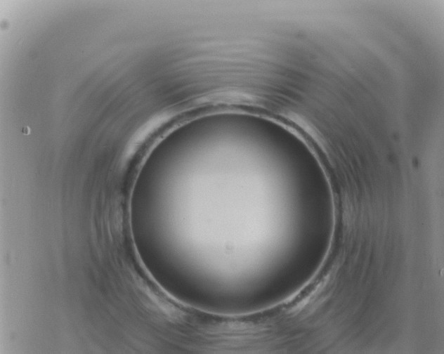 X0000073761115200608102038