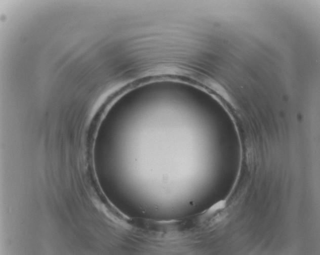 X0000073761116200608102038