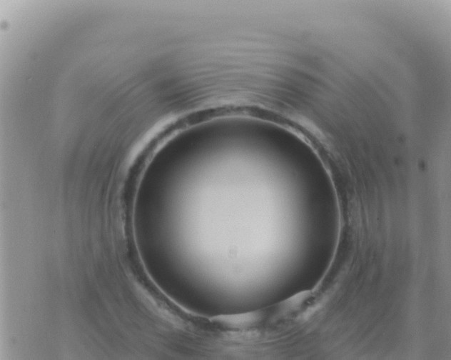 X0000073761118200608102039