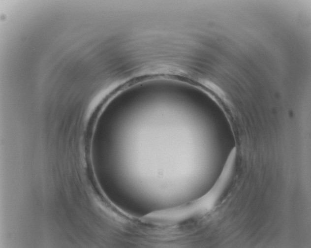 X0000073761120200608102039