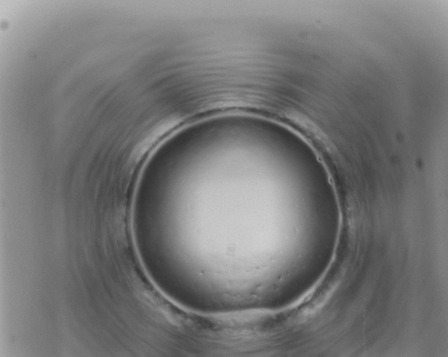 X0000073761121200608102039