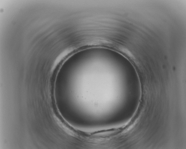 X0000073761122200608102039