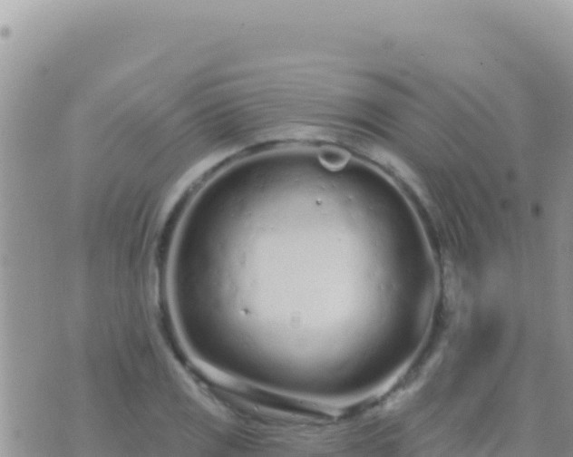 X0000073761125200608102039