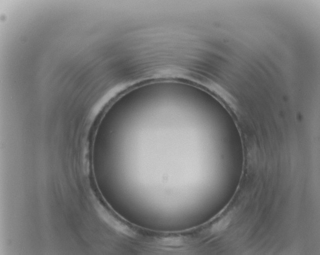 X0000073761126200608102039