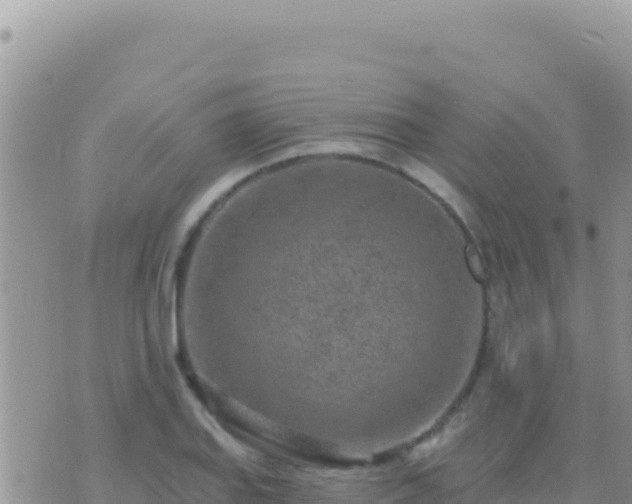 X0000073761127200608102039