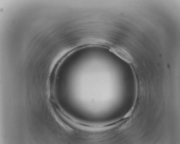 X0000073761128200608102039