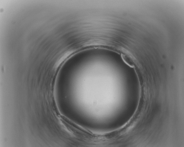 X0000073761129200608102039