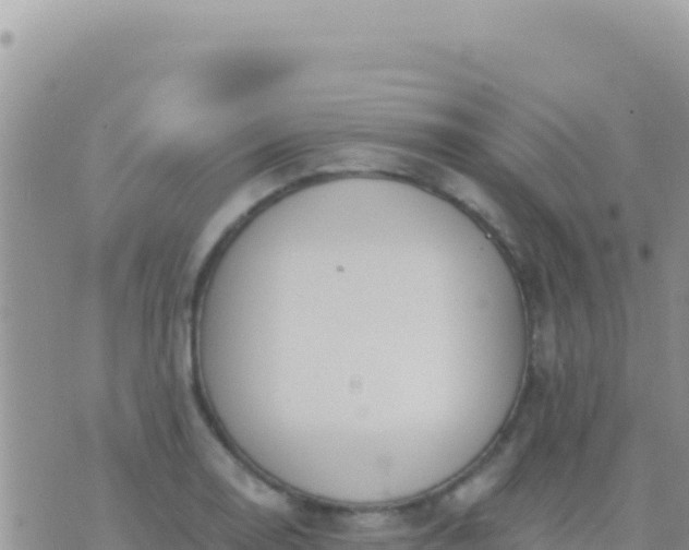 X0000073761130200608102039