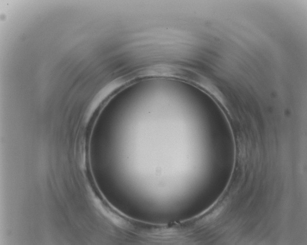 X0000073761131200608102039