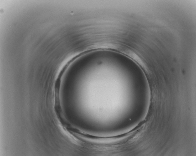 X0000073761132200608102039