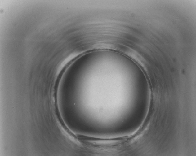 X0000073761133200608102039