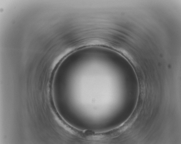 X0000073761134200608102039