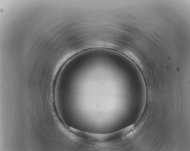 X0000073761136200608102039