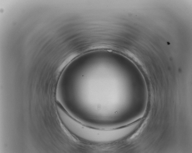 X0000073761137200608102039