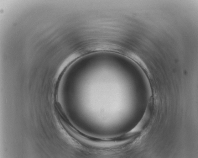 X0000073761138200608102039