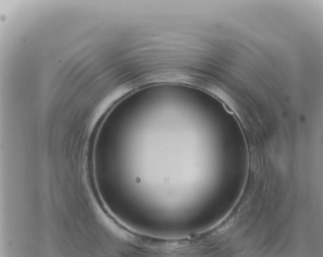 X0000073761139200608102039