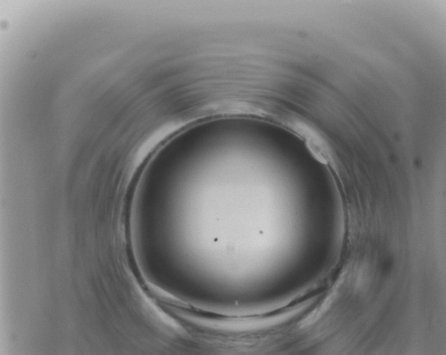 X0000073761141200608102039