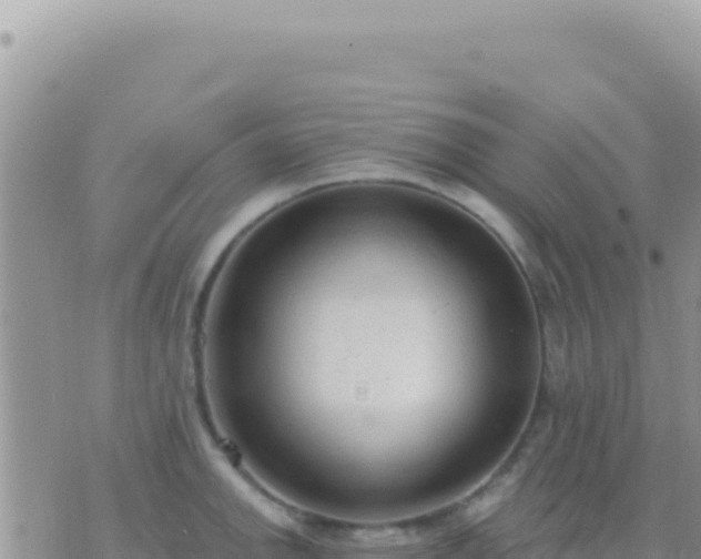 X0000073761142200608102039