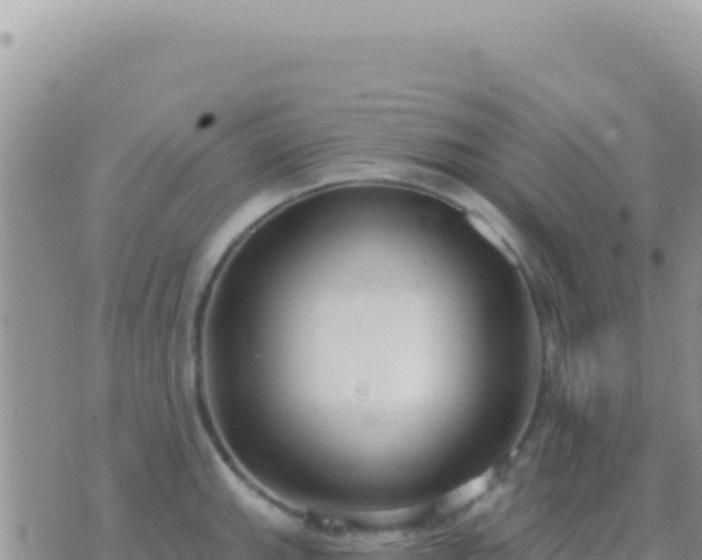 X0000073761143200608102039