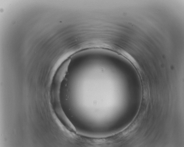 X0000073761144200608102039