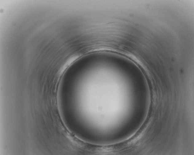 X0000073761145200608102039