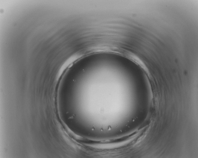 X0000073761146200608102039