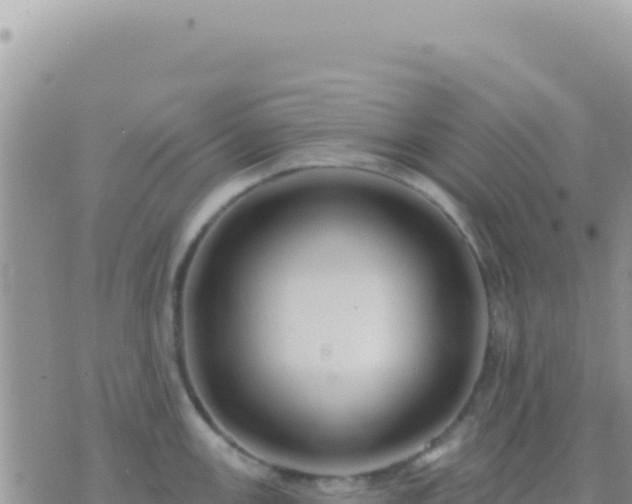 X0000073761147200608102039