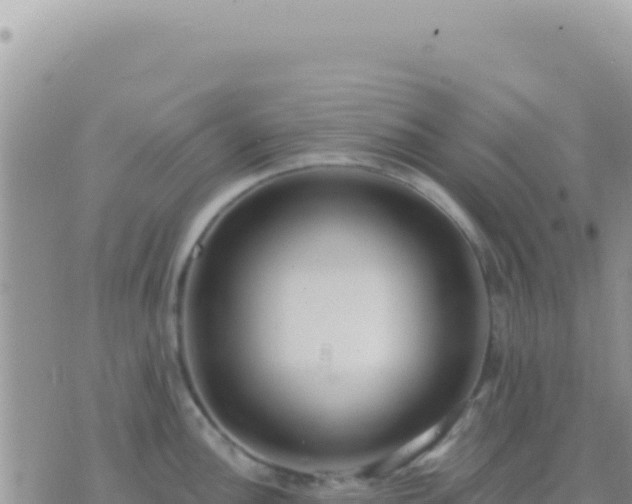 X0000073761148200608102039