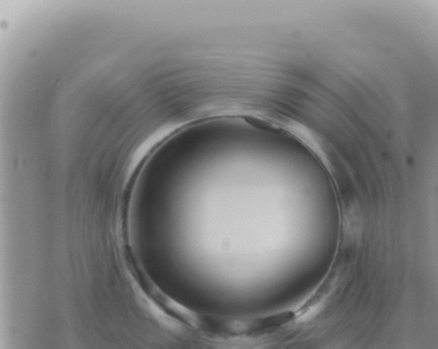 X0000073761149200608102039