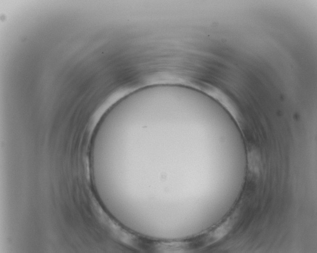 X0000073761150200608102039