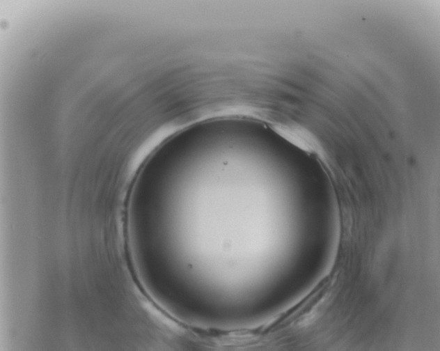 X0000073761151200608102039