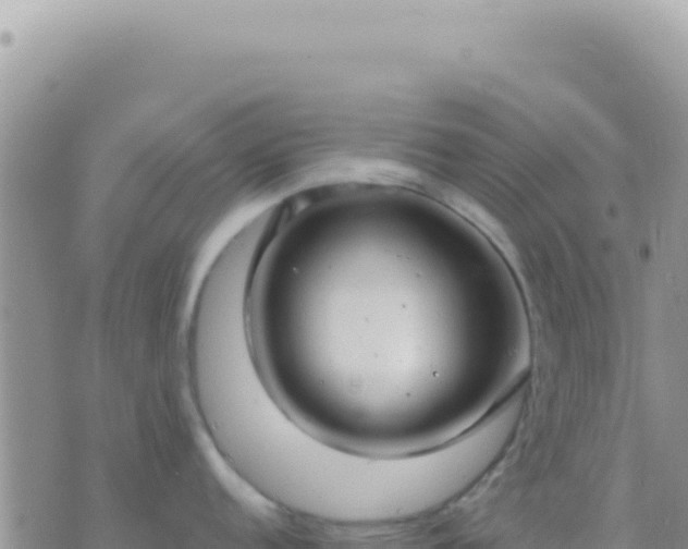 X0000073761152200608102039