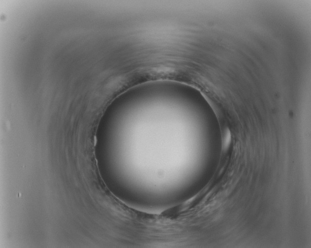 X0000073761153200608102038