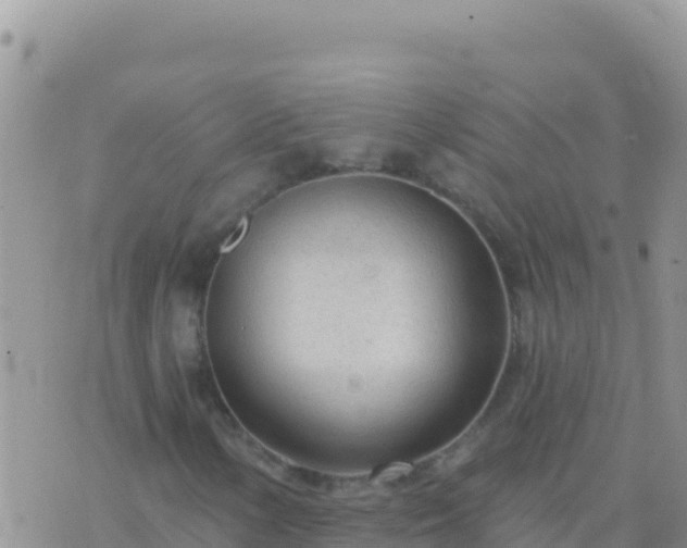 X0000073761154200608102038