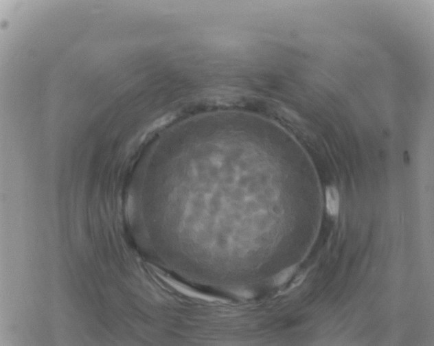 X0000073761155200608102038