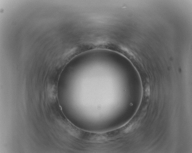 X0000073761156200608102038