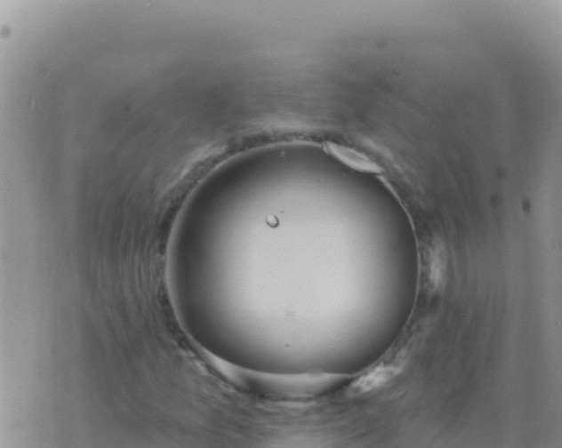 X0000073761157200608102038