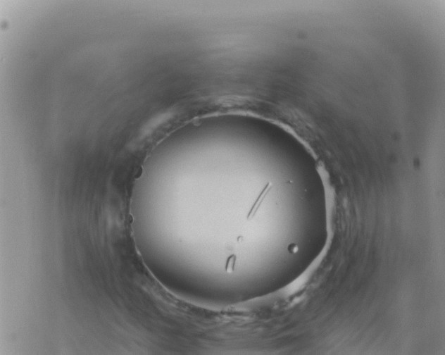 X0000073761158200608102038