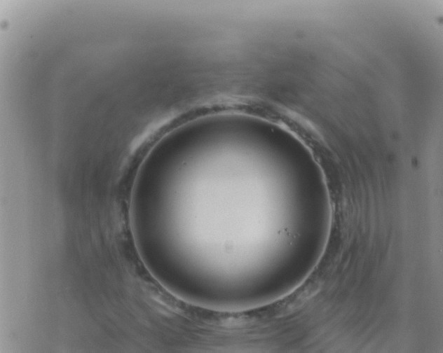 X0000073761160200608102038