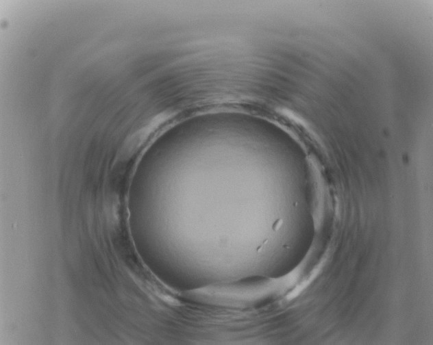 X0000073761161200608102038