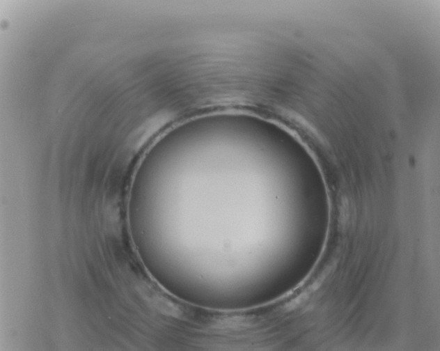 X0000073761162200608102038