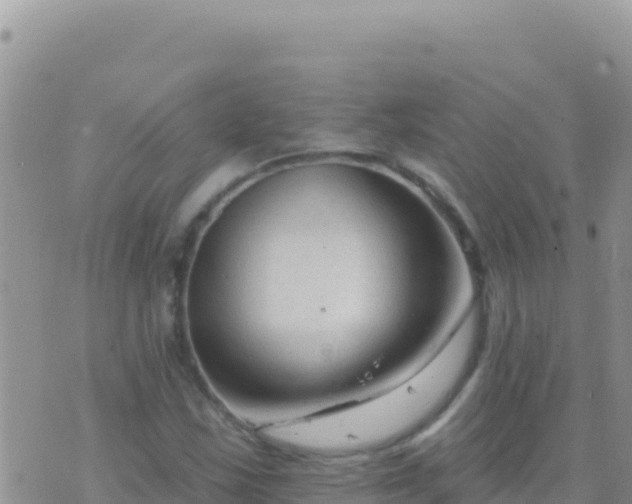 X0000073761163200608102038