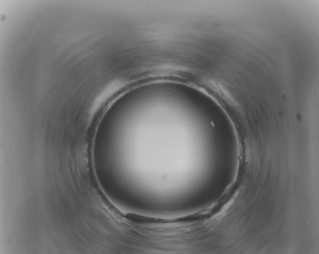 X0000073761164200608102038