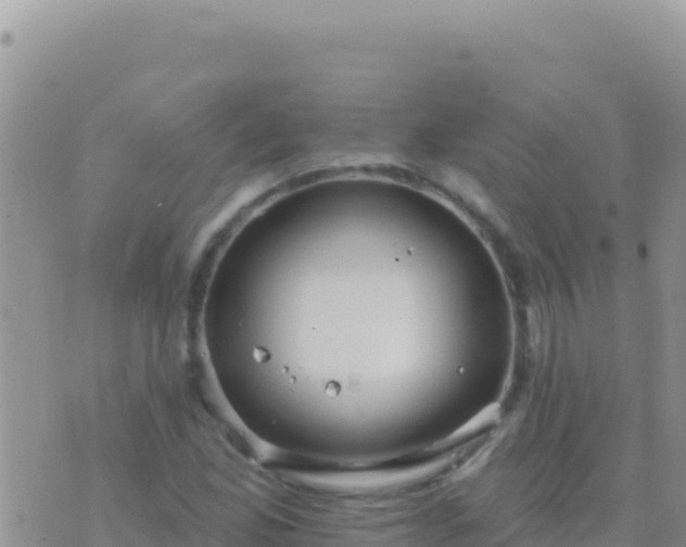 X0000073761165200608102038