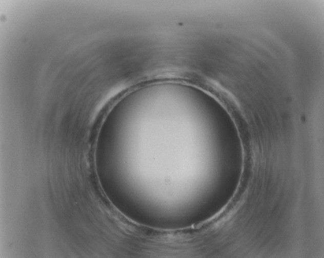 X0000073761166200608102038