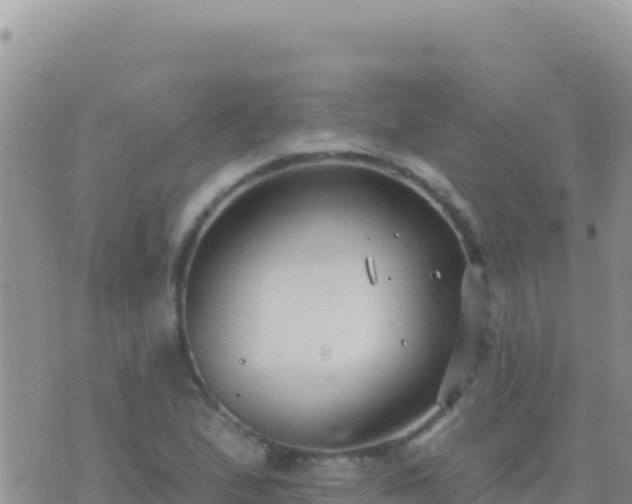 X0000073761167200608102038