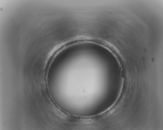 X0000073761168200608102038