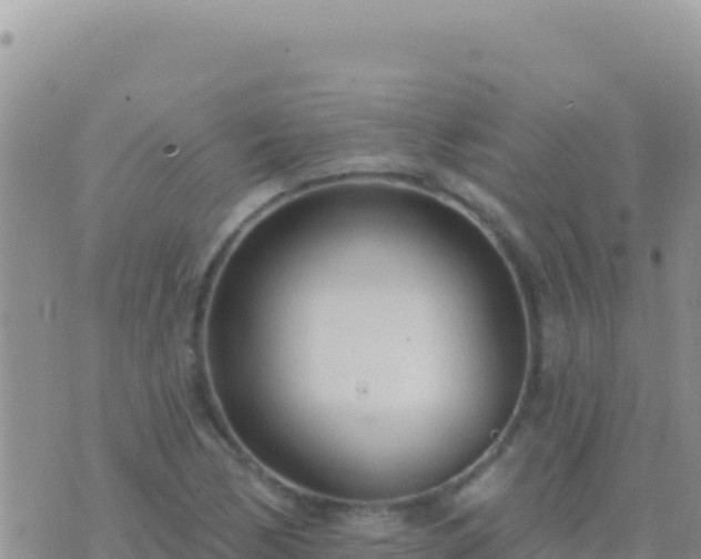 X0000073761170200608102038